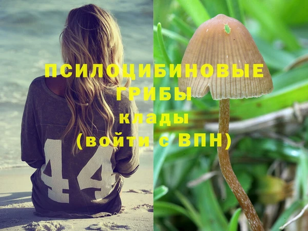 метадон Абинск