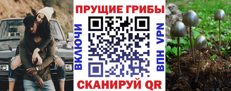 Галлюциногенные грибы мицелий  Курчатов 